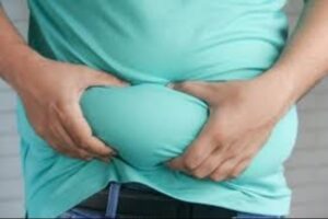 Stomach fat