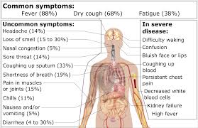 Persistent Diarrhea