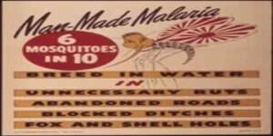 Cure for Malaria