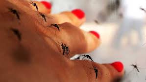 Malaria's Contagious Threat