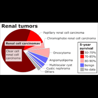 Tumors vs. Cancer