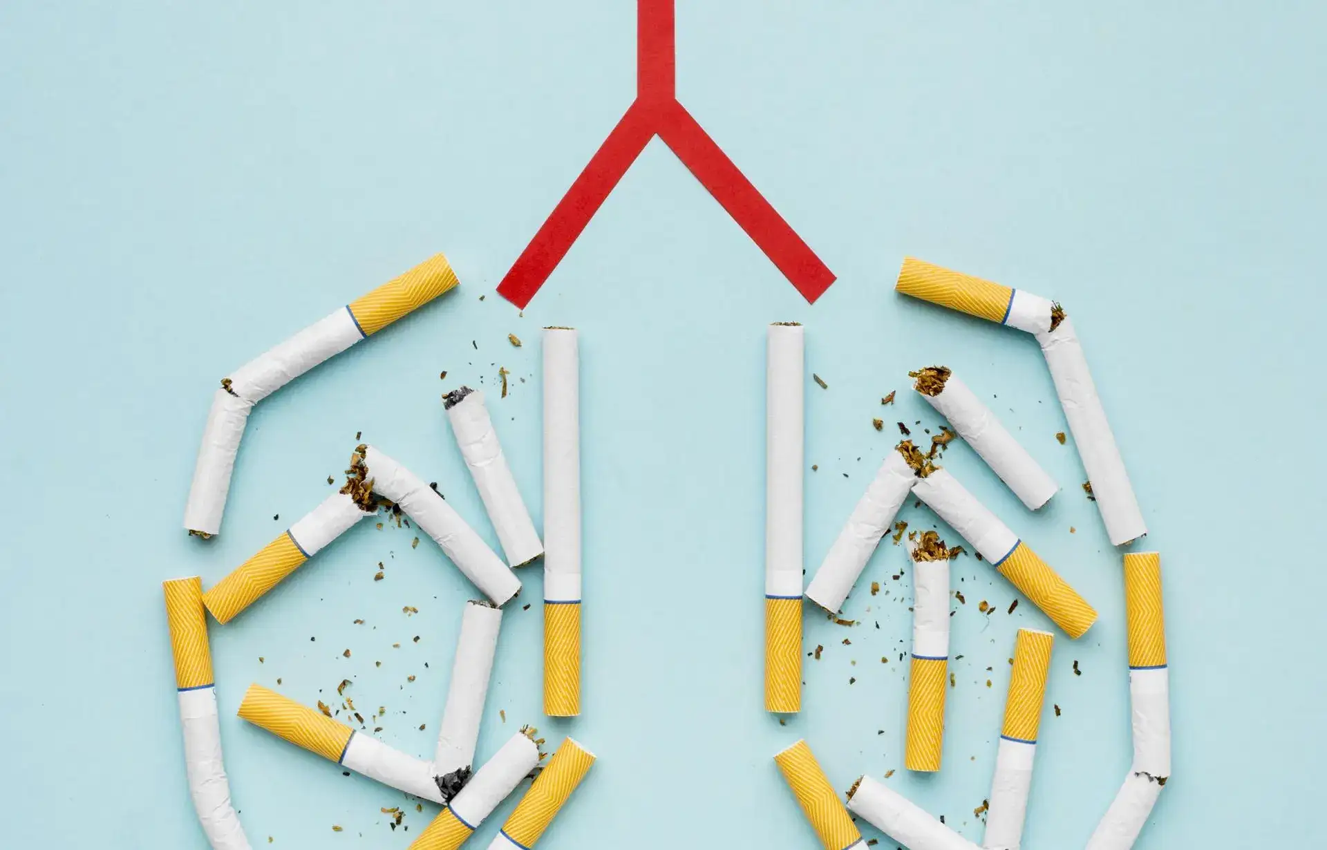 Lung Cancer
