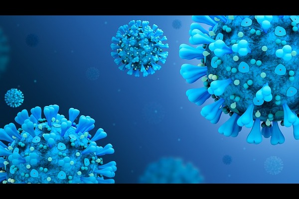 Avian Flu Virus