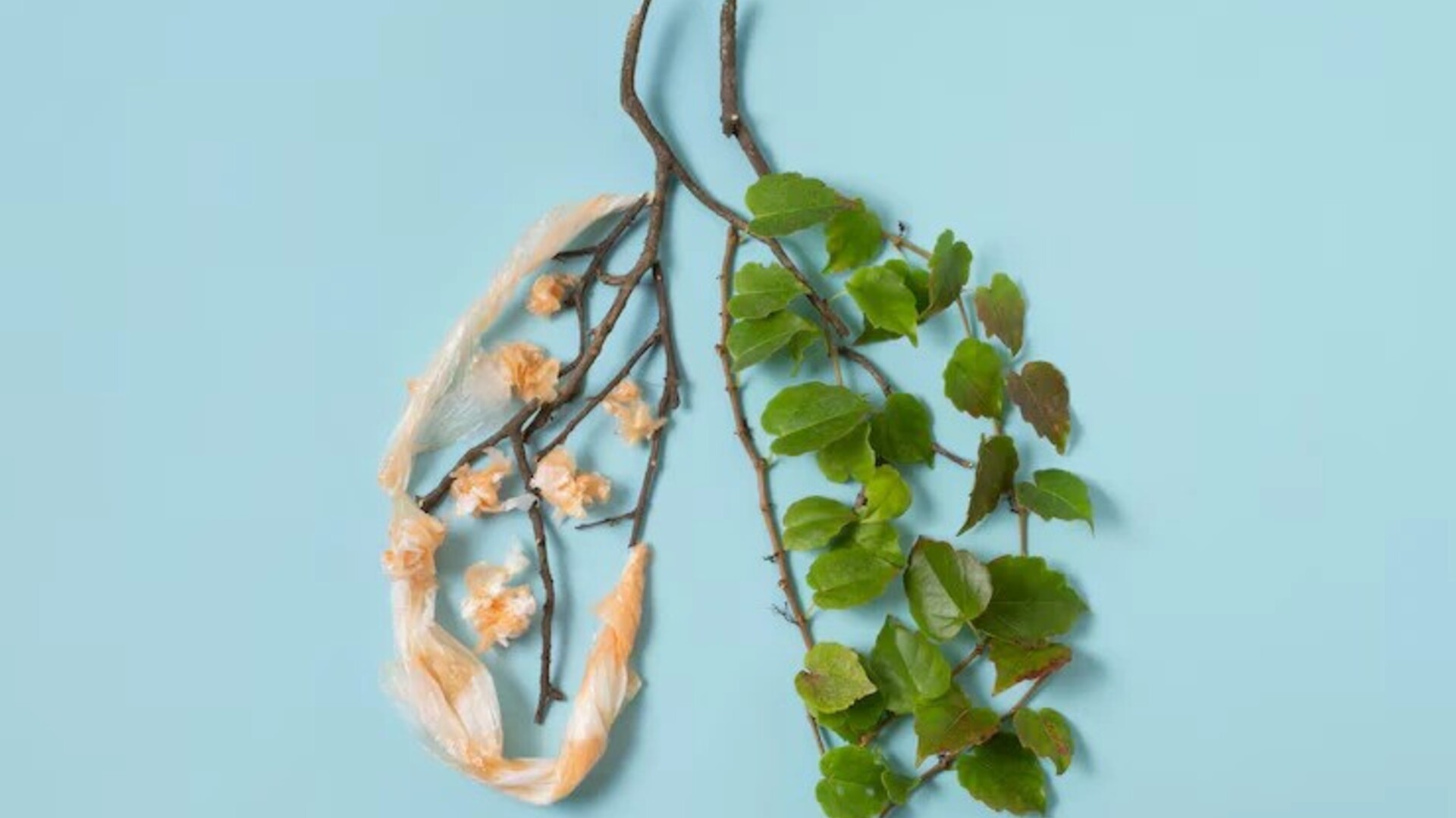 Lung cancer