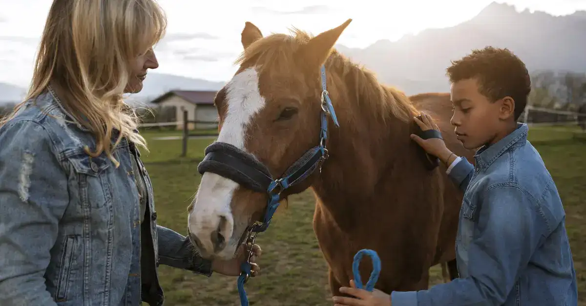 Equine West Nile Virus Symptoms